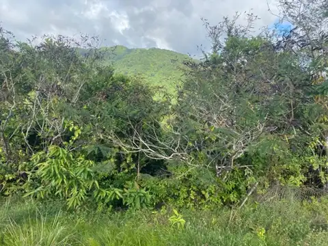 Mardigras 42 acres — land for sale in Mardigras, St. George