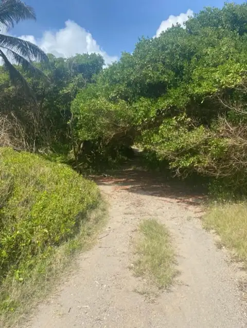 Galby Beachfront — land for sale in Galby, St. David