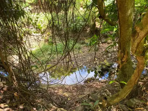Pearls Lot — land for sale in Pearls, St. Andrew