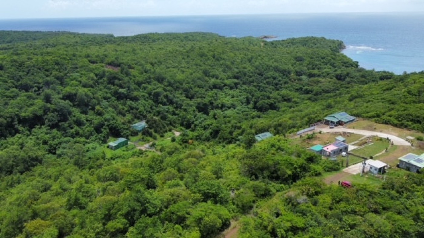 Land in Content