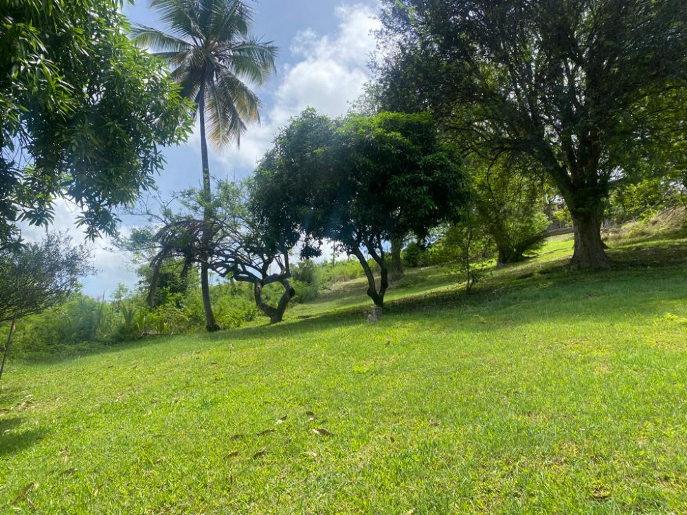 Land For Sale in Grenada