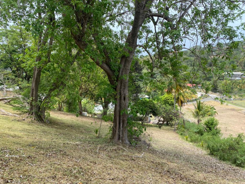 Land For Sale in Grenada