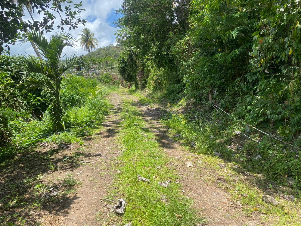 Land For Sale in Grenada Grenada
