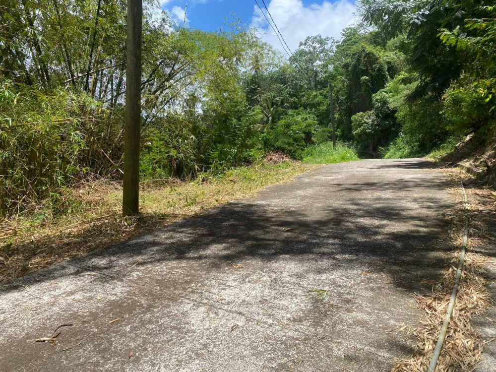 Land For Sale in Grenada Grenada