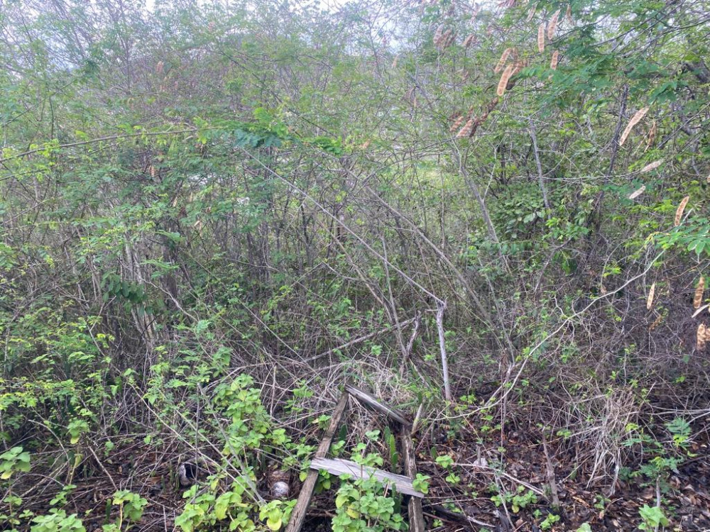 Land For Sale in St. Grenada