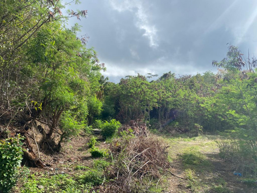 Land For Sale in St. Grenada