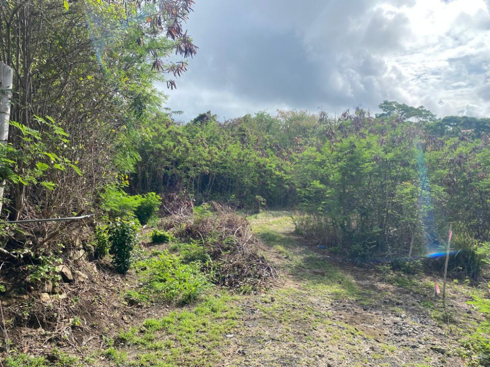 Land For Sale in St. Grenada
