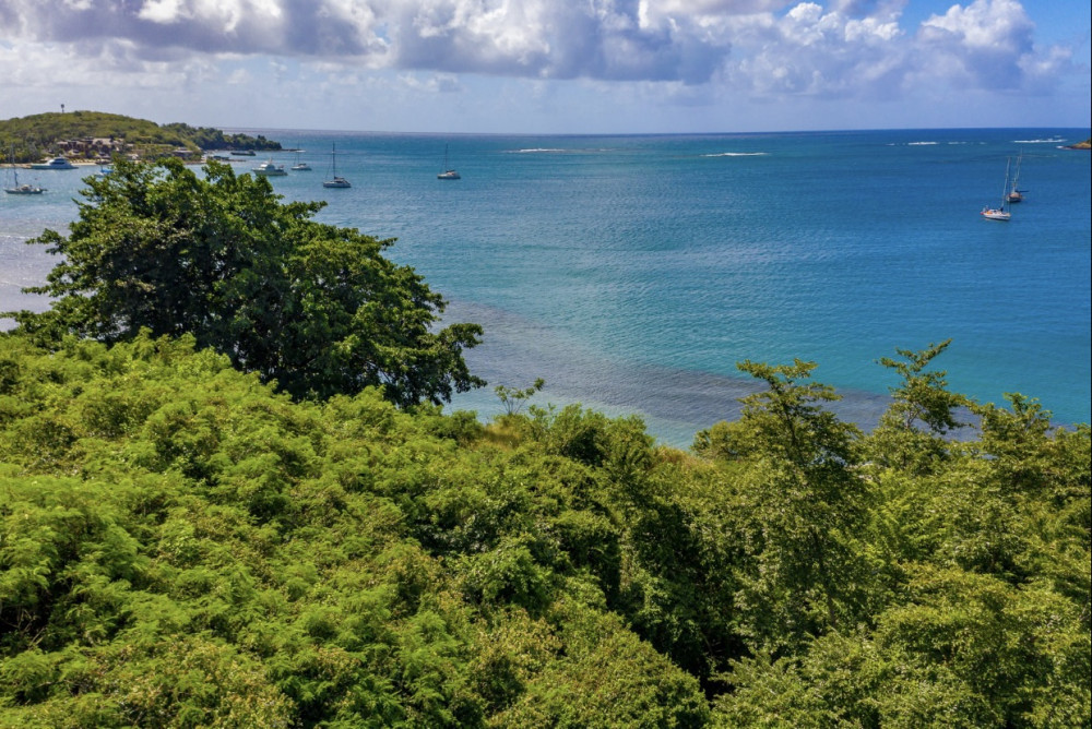 Land For Sale in Grenada Real Property Grenada