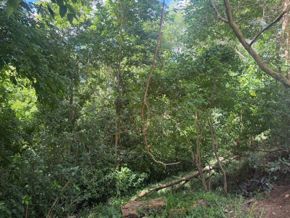 0 bed Land For Sale in St. David's,  - 1