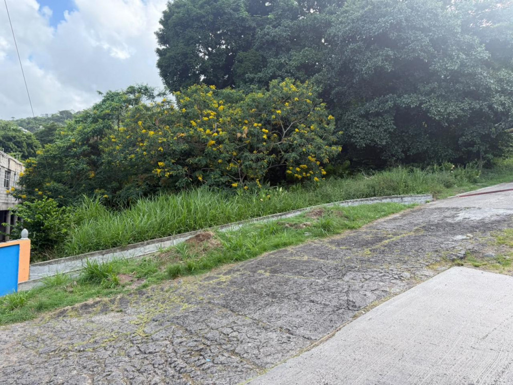 0 bed Land For Sale in St. george,  - 1